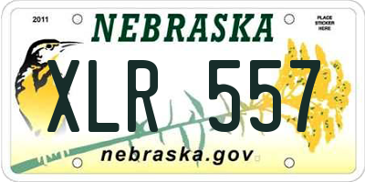 NE license plate XLR557