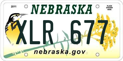 NE license plate XLR677