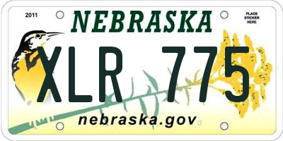 NE license plate XLR775
