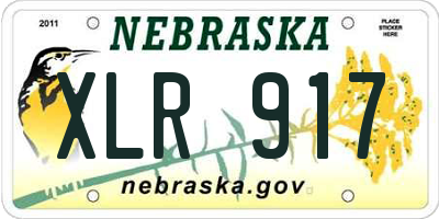 NE license plate XLR917
