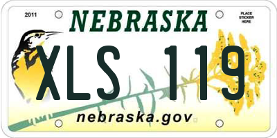NE license plate XLS119