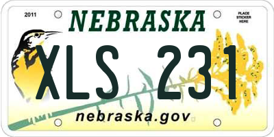 NE license plate XLS231
