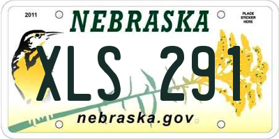 NE license plate XLS291