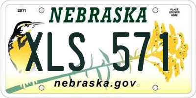 NE license plate XLS571