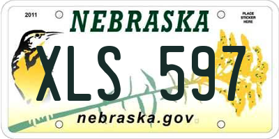 NE license plate XLS597