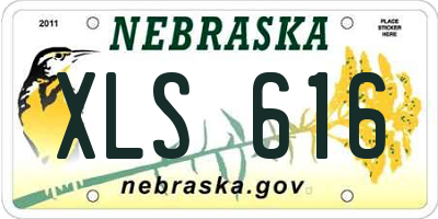 NE license plate XLS616