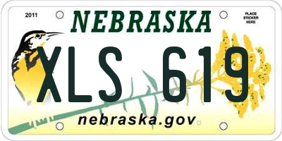 NE license plate XLS619
