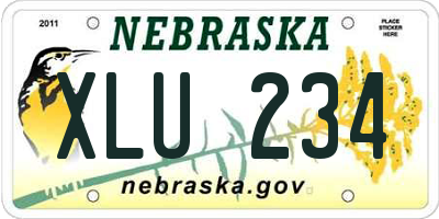 NE license plate XLU234