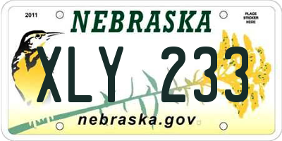 NE license plate XLY233