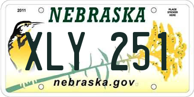NE license plate XLY251