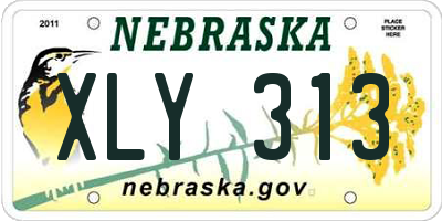 NE license plate XLY313
