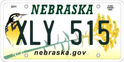 NE license plate XLY515
