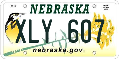 NE license plate XLY607
