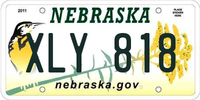 NE license plate XLY818