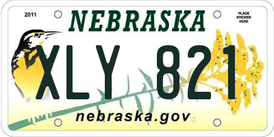 NE license plate XLY821