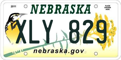 NE license plate XLY829