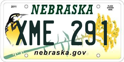 NE license plate XME291