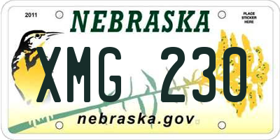 NE license plate XMG230