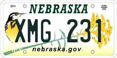 NE license plate XMG231