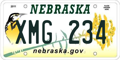 NE license plate XMG234