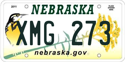 NE license plate XMG273