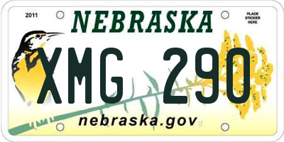 NE license plate XMG290