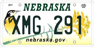 NE license plate XMG291