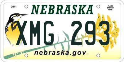 NE license plate XMG293