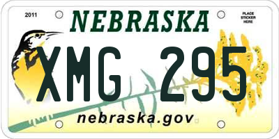 NE license plate XMG295