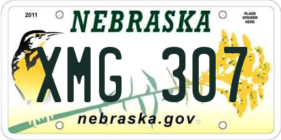 NE license plate XMG307
