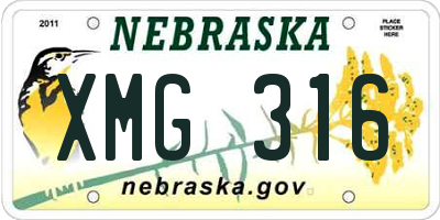 NE license plate XMG316