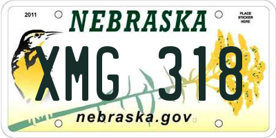 NE license plate XMG318