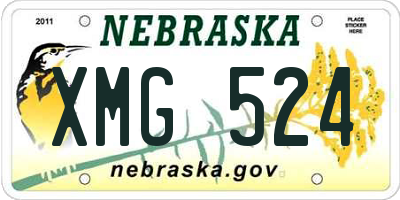 NE license plate XMG524