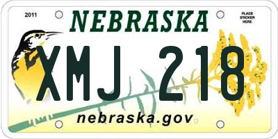 NE license plate XMJ218