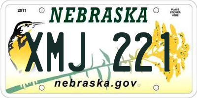 NE license plate XMJ221