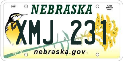 NE license plate XMJ231