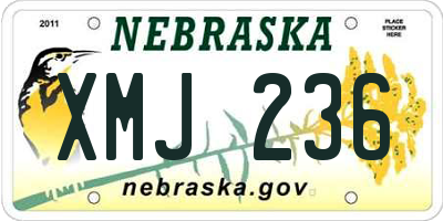 NE license plate XMJ236