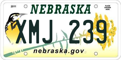 NE license plate XMJ239
