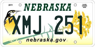 NE license plate XMJ251