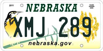 NE license plate XMJ289