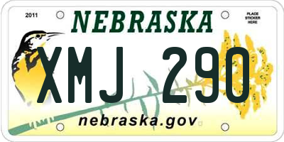 NE license plate XMJ290