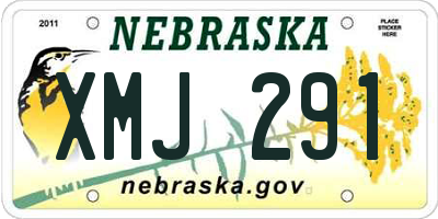 NE license plate XMJ291