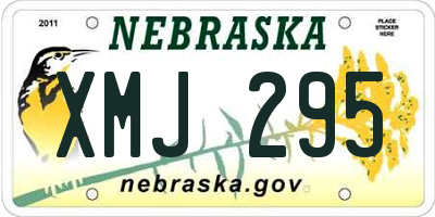 NE license plate XMJ295