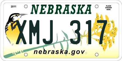 NE license plate XMJ317