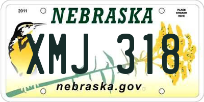 NE license plate XMJ318