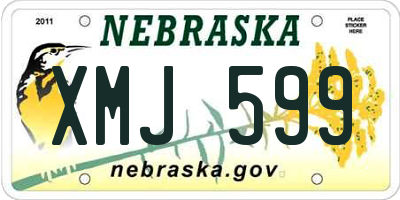 NE license plate XMJ599