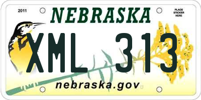 NE license plate XML313