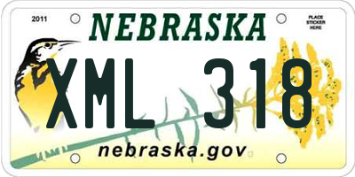 NE license plate XML318