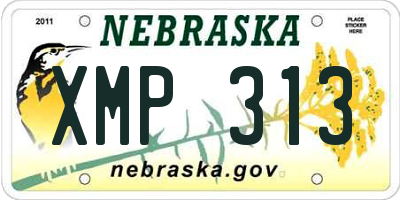 NE license plate XMP313