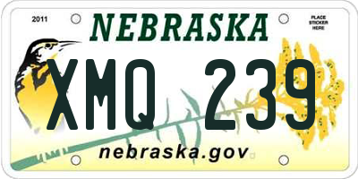 NE license plate XMQ239